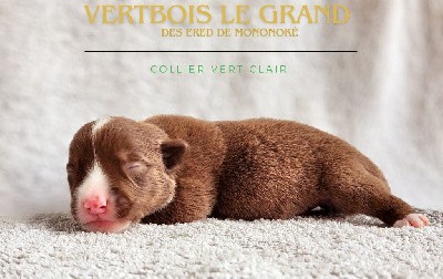 VERTBOIS LE GRAND 