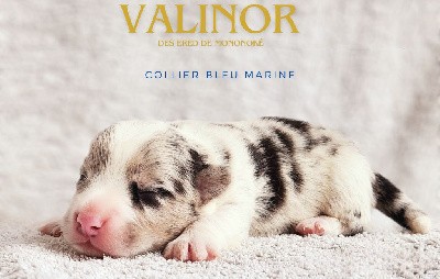 VALINOR